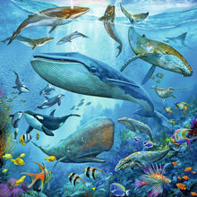 Load image into Gallery viewer, Ocean Life 3 X 49pc