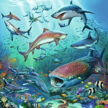 Load image into Gallery viewer, Ocean Life 3 X 49pc