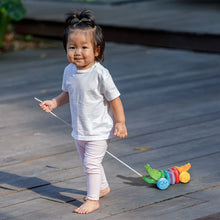 Load image into Gallery viewer, Rainbow Alligator