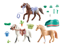 Load image into Gallery viewer, Three Horse Set: Moragn, Quarter Horse, & Shagya Araber