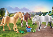Load image into Gallery viewer, Three Horse Set: Moragn, Quarter Horse, & Shagya Araber
