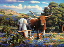 Load image into Gallery viewer, Loving Longhorns 500pc