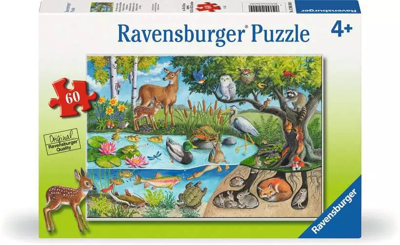 Animals Above and Below 60pc