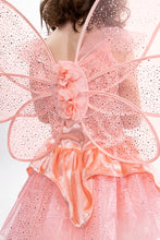 Load image into Gallery viewer, Rose Garden Fairy Wings