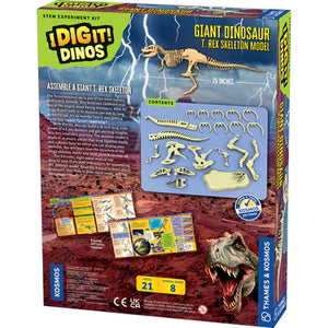 Giant Dinosaur Skeleton Kit