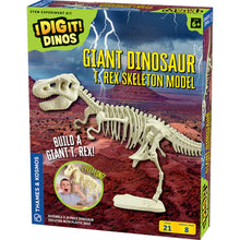 Load image into Gallery viewer, Giant Dinosaur Skeleton Kit