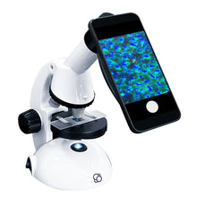 Load image into Gallery viewer, Microscope with Smartphone Adapter