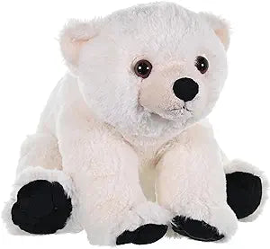 Polar Bear Baby