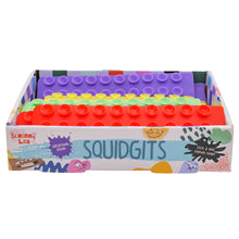 Load image into Gallery viewer, Squidgets