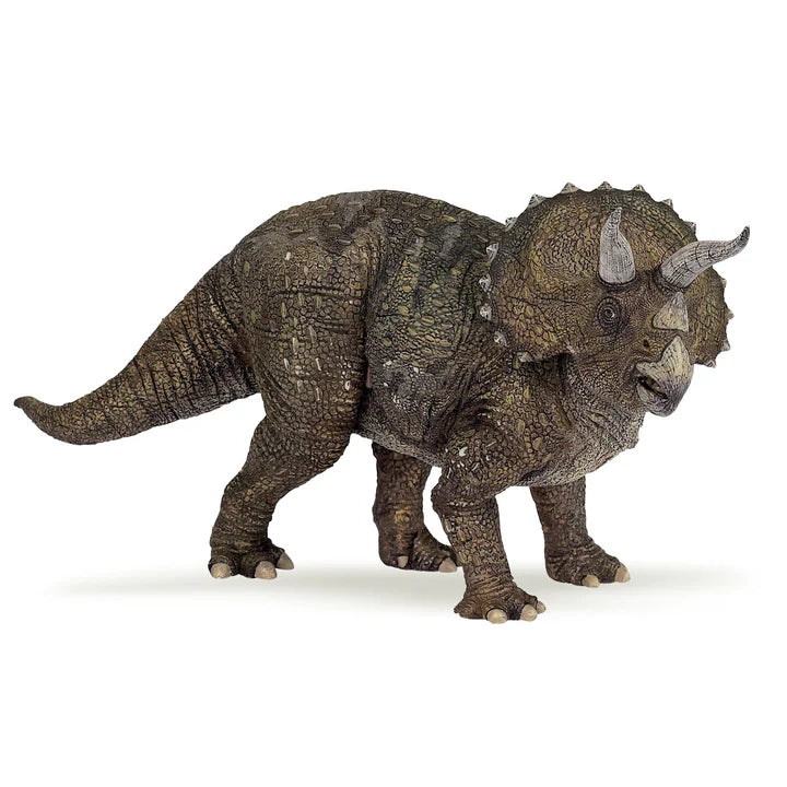 Papa Triceratops