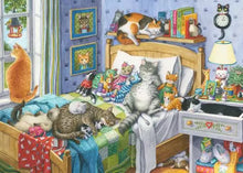 Load image into Gallery viewer, Cat Nap 500pc