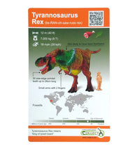 Load image into Gallery viewer, Dinosaur Individual Bling Bag with AR Feature