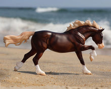 Load image into Gallery viewer, Surfer’s Riptide Chincoteague Pony