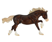 Load image into Gallery viewer, Surfer’s Riptide Chincoteague Pony