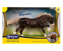 Load image into Gallery viewer, Surfer’s Riptide Chincoteague Pony