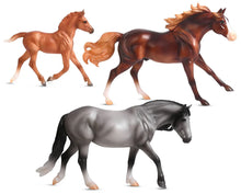 Load image into Gallery viewer, Playful Pony Horse Family