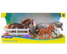 Load image into Gallery viewer, Playful Pony Horse Family