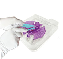 Load image into Gallery viewer, Dissect It Bat Lab