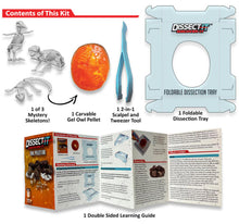 Load image into Gallery viewer, Owl Pellet