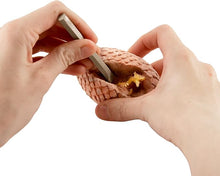 Load image into Gallery viewer, I Dit It! Dragon Eggs