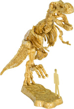 Load image into Gallery viewer, 3D T-Rex Dig It Dinos