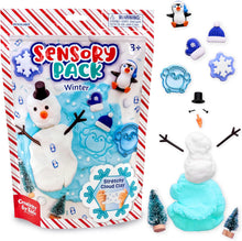 Load image into Gallery viewer, Winter Holiday Sensory Pack