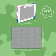 Load image into Gallery viewer, Copenhagen, Denmark 1000pc