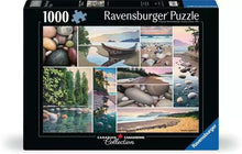 Load image into Gallery viewer, West Coast Tranquility 1000pc