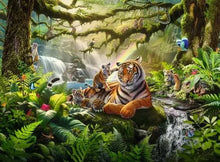 Load image into Gallery viewer, Wildlife Wonders 300pc