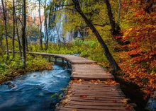 Load image into Gallery viewer, Autumnal Wood Trail 1000pc