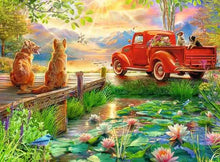 Load image into Gallery viewer, Summer Love 500pc