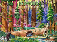 Load image into Gallery viewer, Redwood National Park 500pc