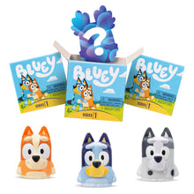Load image into Gallery viewer, Mystery Bluey Mash’ems
