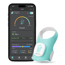 Load image into Gallery viewer, Smart Sock Shoe