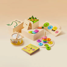 Load image into Gallery viewer, Tiny Land® Montessori Toys for Toddlers (13–15 Months)