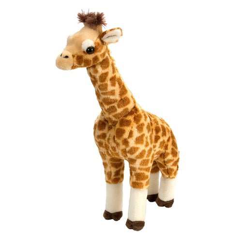 Giraffe Standing 17