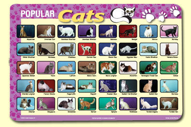 Popular Cat Placemat