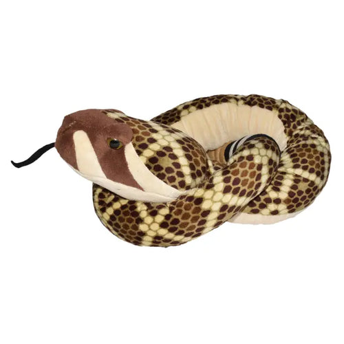 Western Diamondback Snake