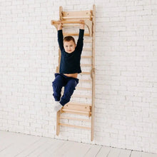 Load image into Gallery viewer, Gym Addition to the Climbing Ladders