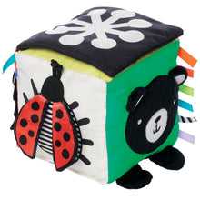 Load image into Gallery viewer, Wimmer Discovery Cube