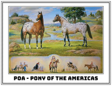 Load image into Gallery viewer, Orren Mixer: Pony Of America