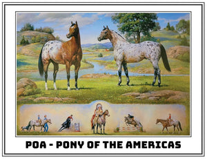 Orren Mixer: Pony Of America