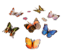 Load image into Gallery viewer, 3D Butterfly Stickers